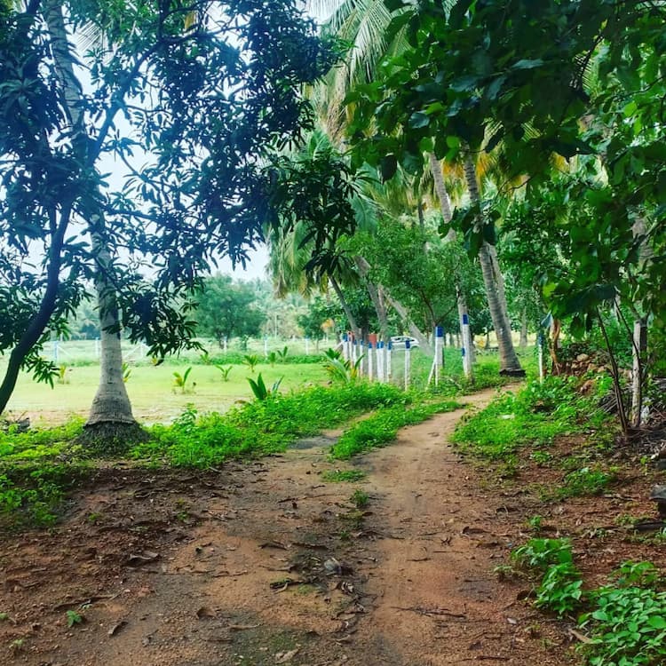 Single Property Image