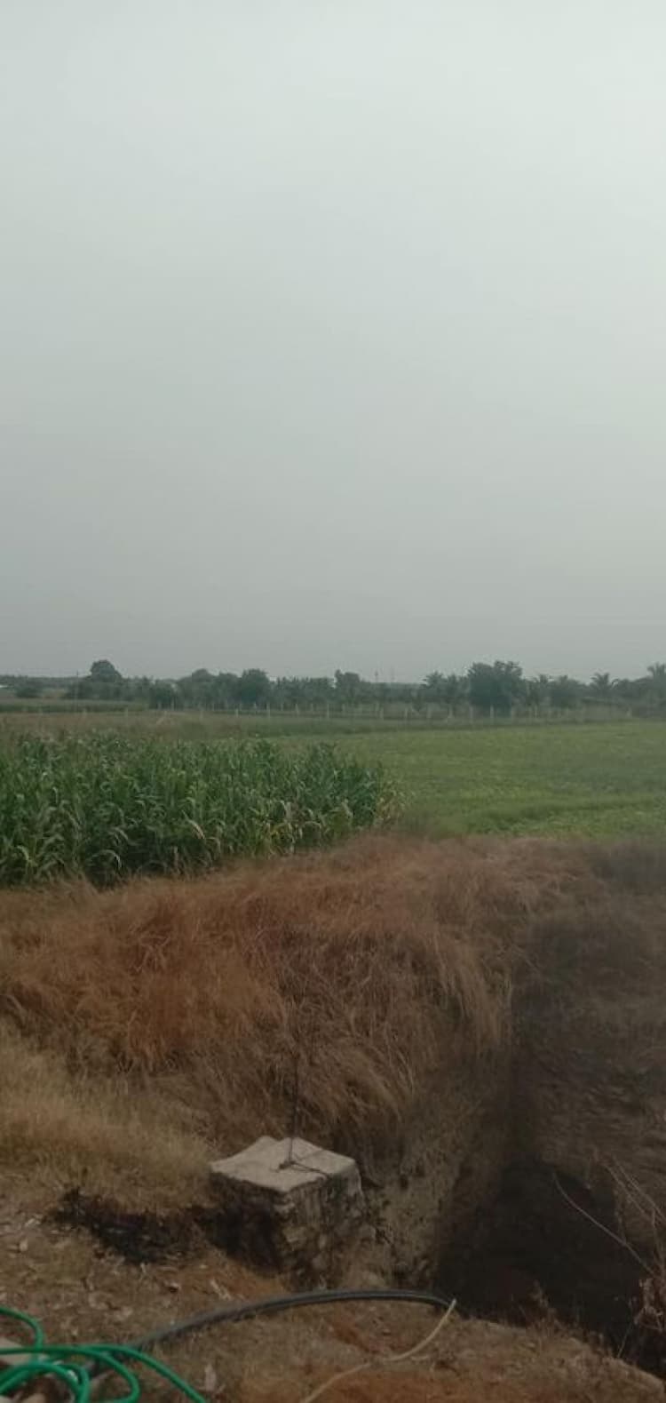 6 Acre Farm Land for Sale