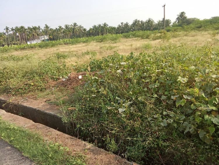 Agri land for sale