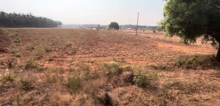 Empty Land for Sale