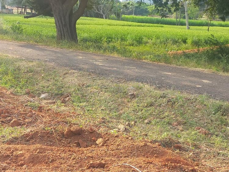 Single Property Image