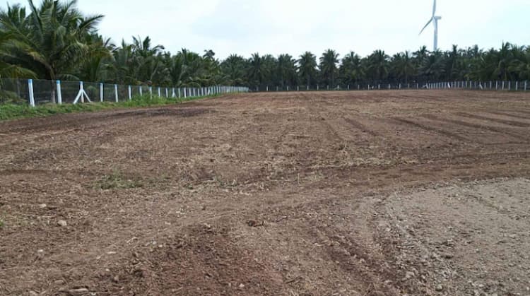 2.25 Acre Land for Sale in Udumalai