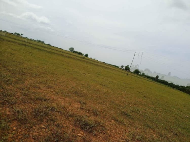 Land for sales