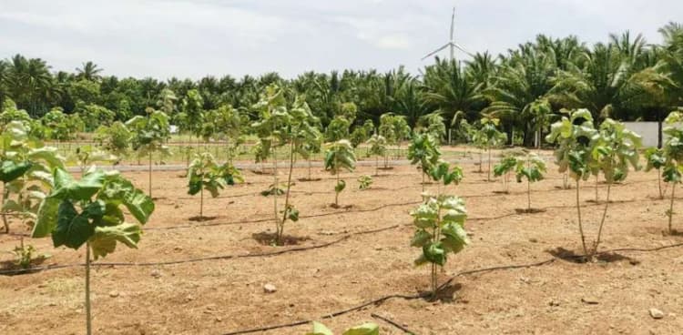 Single Property Image