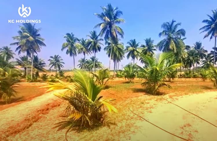 Single Property Image