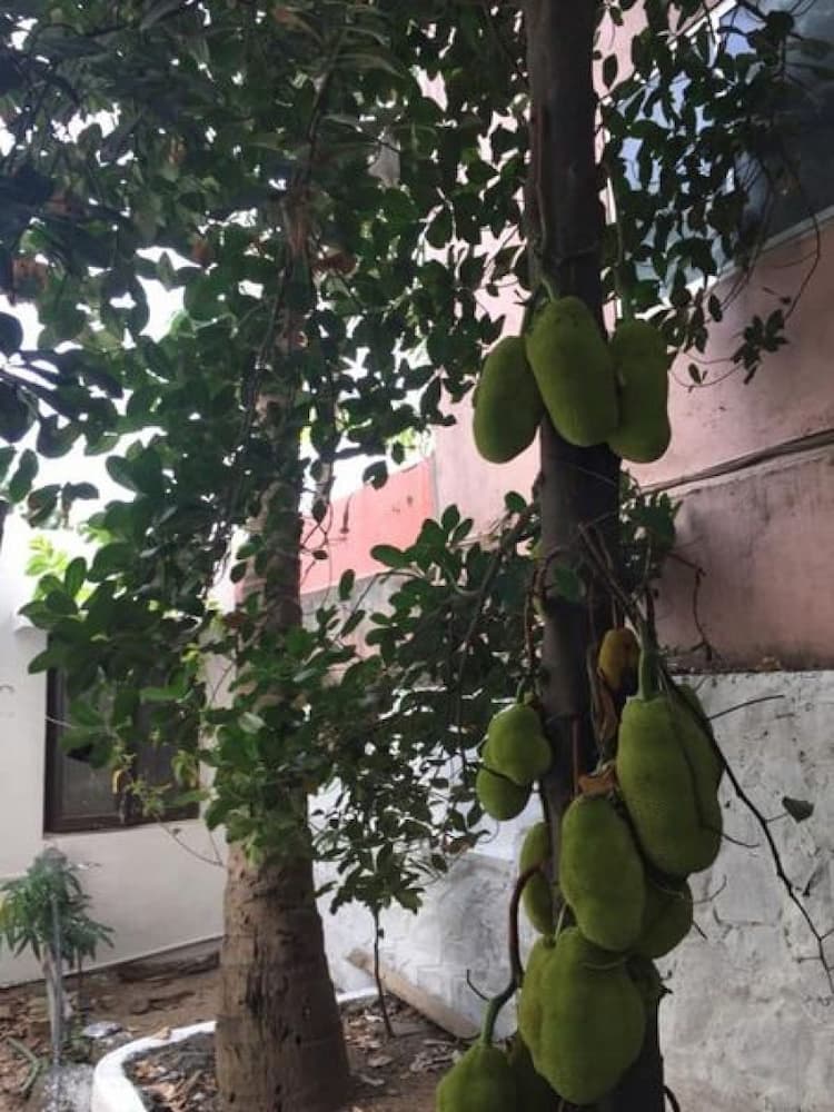 Single Property Image