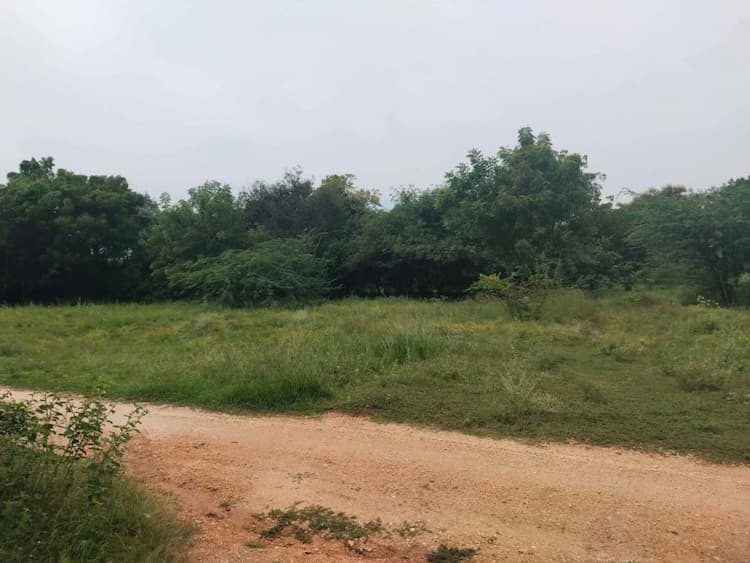 1 Acer agriculture land for sales