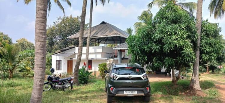 beautiful garden coconut farm for sale