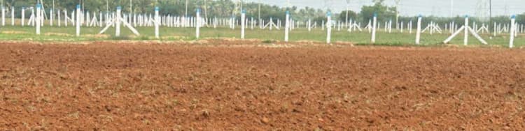 50 Cent Land for Sale