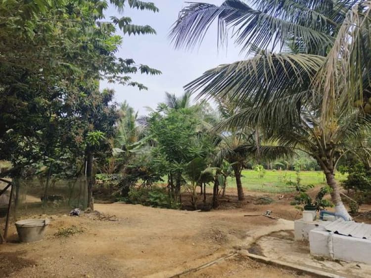 Farm Land with House for Sale