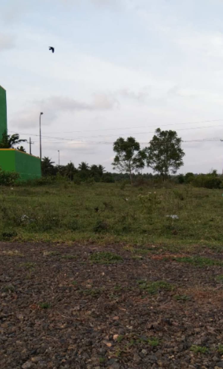 Single Property Image