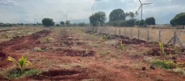 Land for Sale