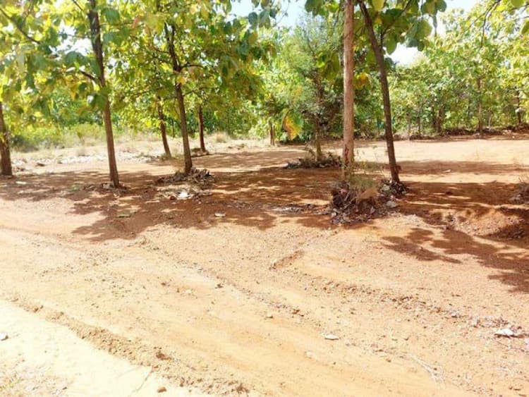Land for Sale