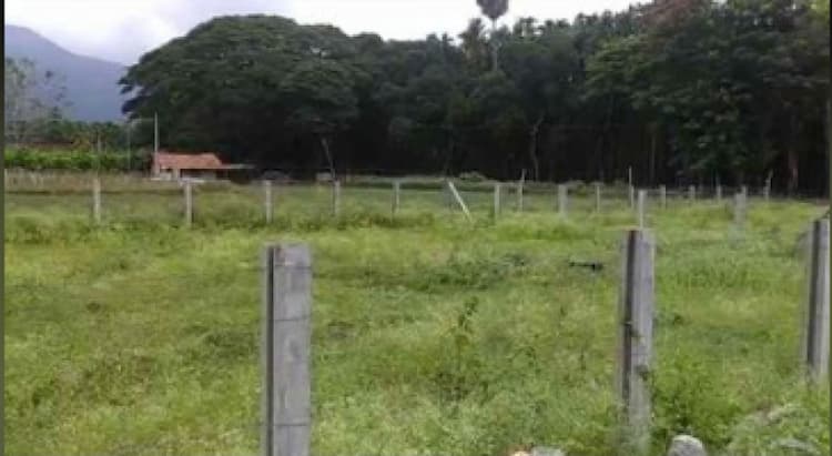 Single Property Image