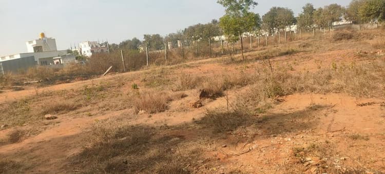 29 Cent land for sales