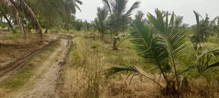 Single Property Image