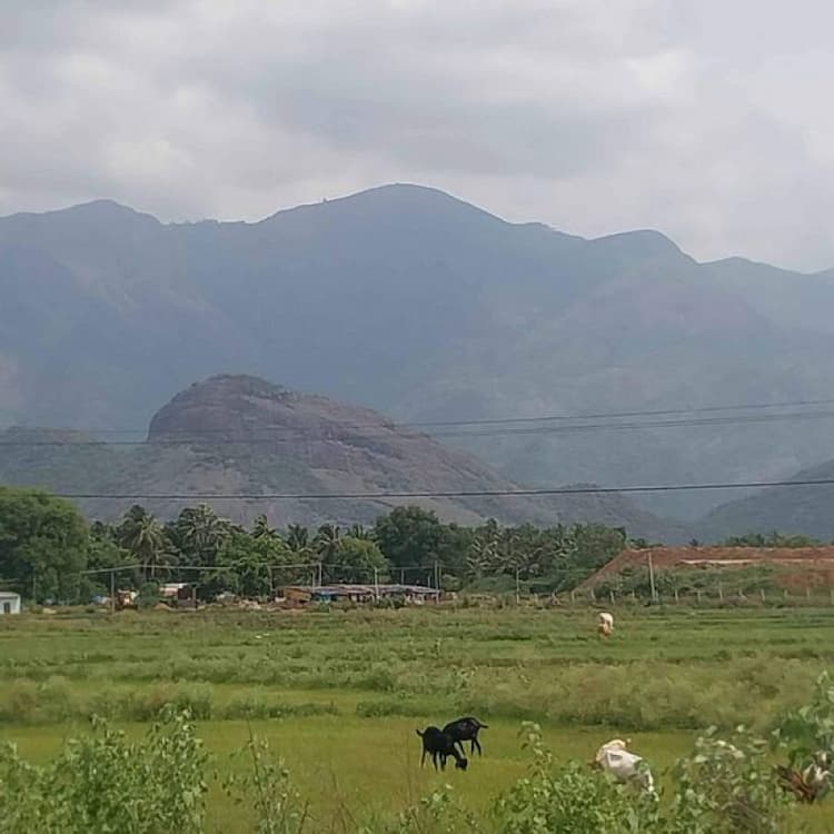 Single Property Image