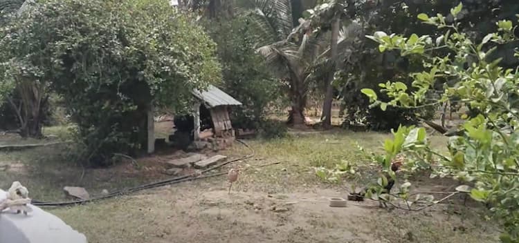 3 Acre Land for Sale