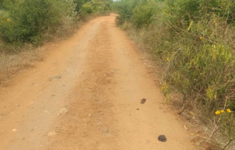 Single Property Image