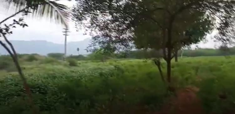 8 Acre Land for Sale