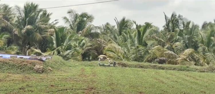Land for Sale