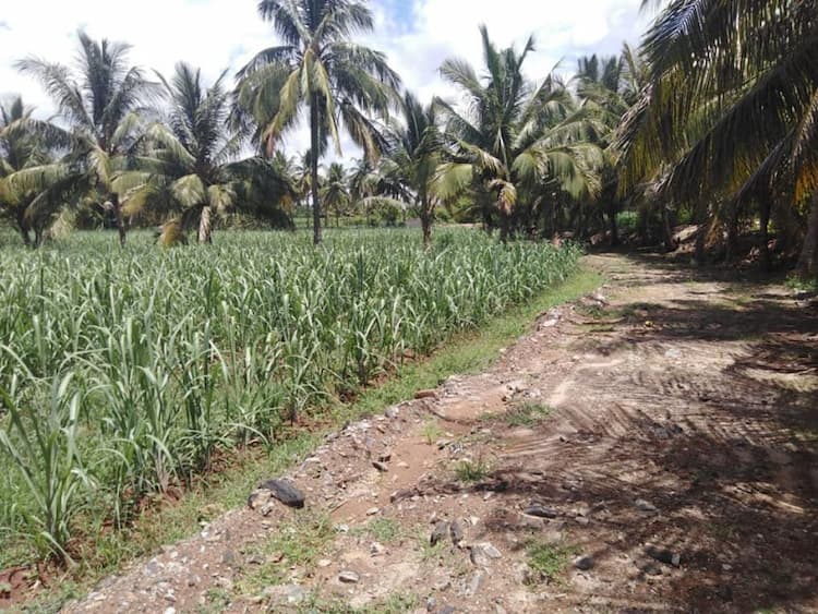 Single Property Image