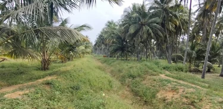 Single Property Image