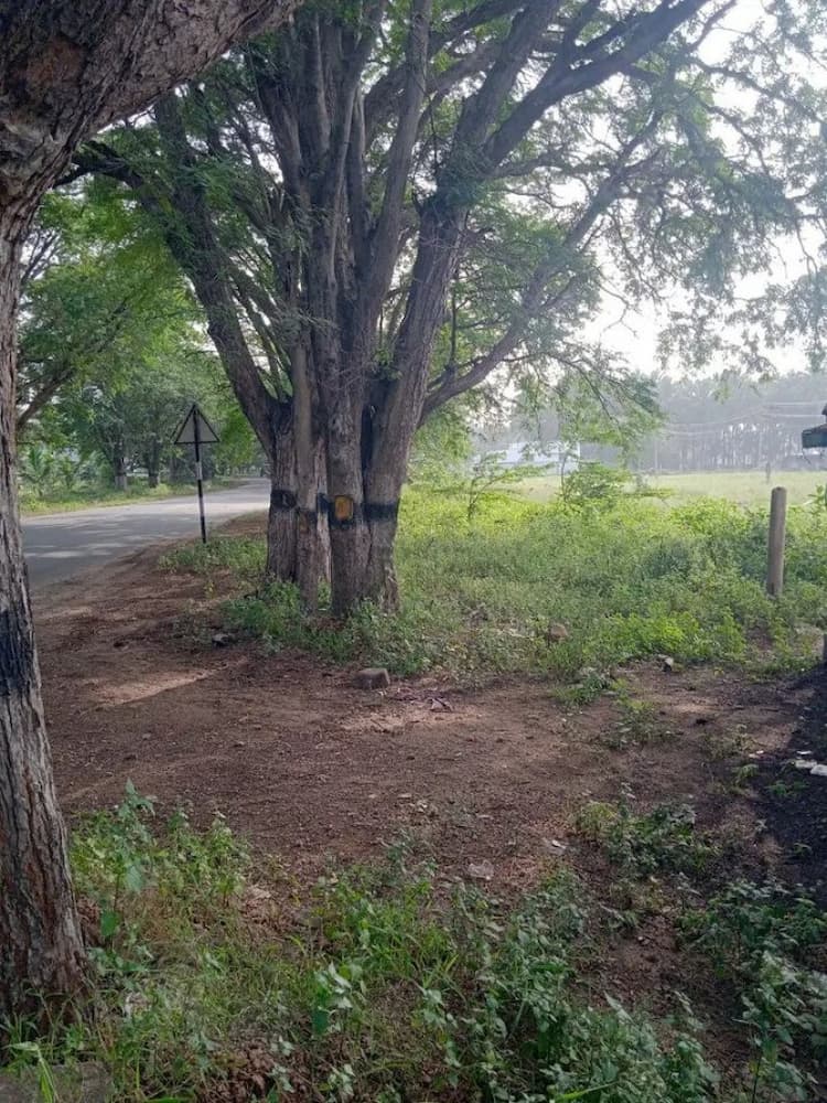 3 Acres Farm Land for Sale