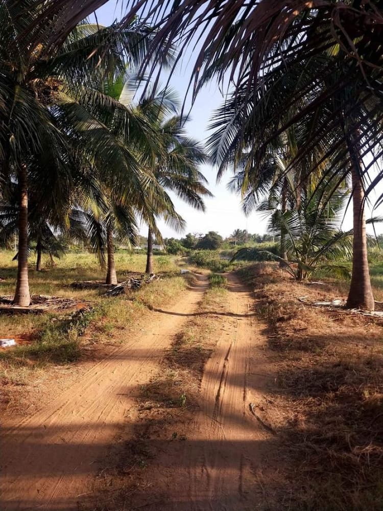 Single Property Image