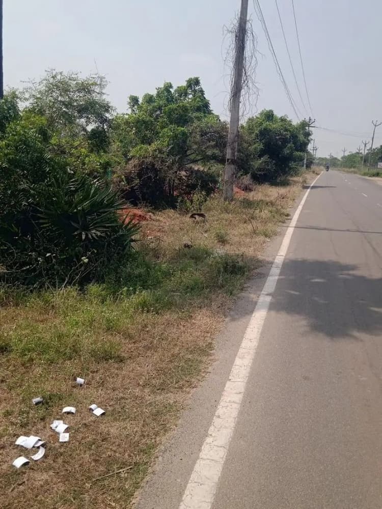 Single Property Image