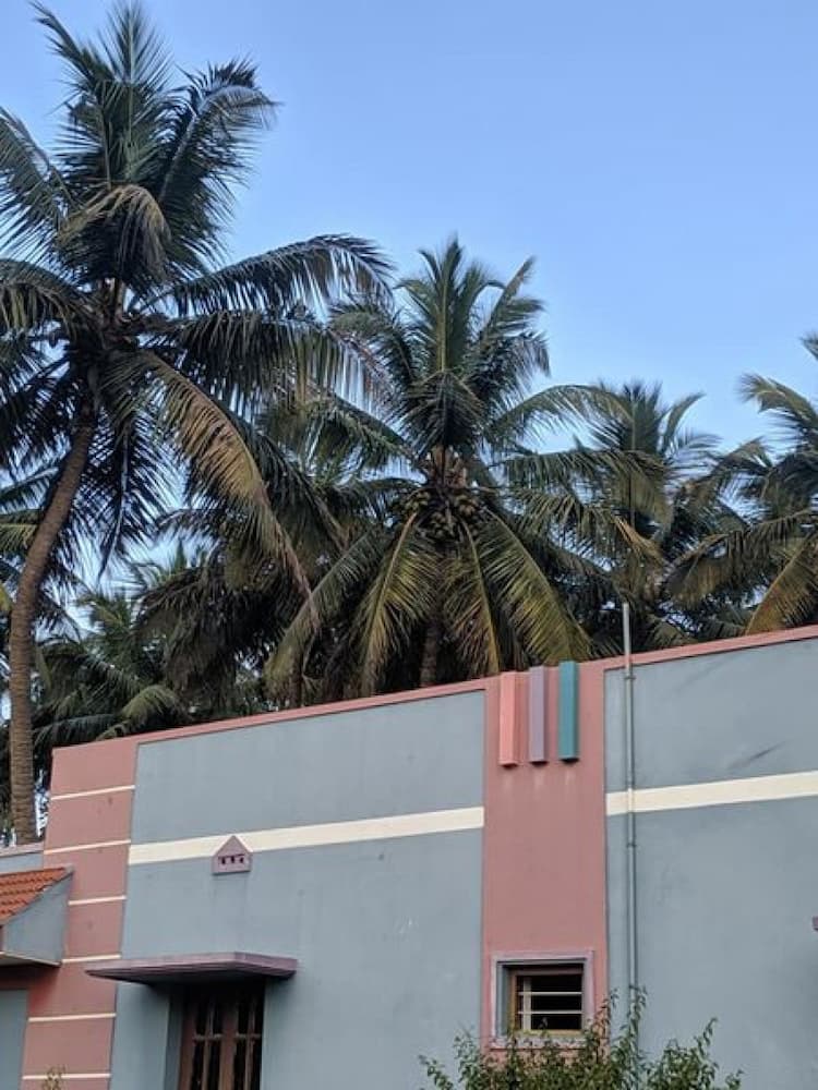 Single Property Image