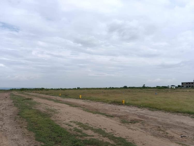 Plot available