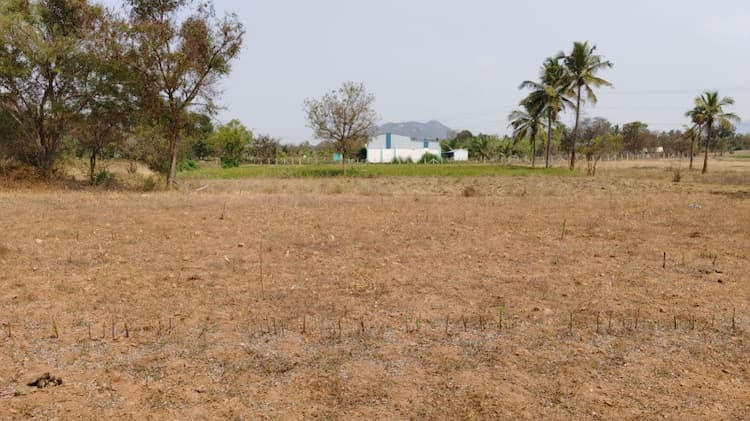 Agricultural Land