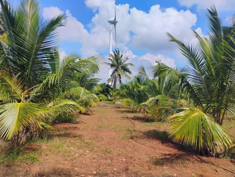 Single Property Image