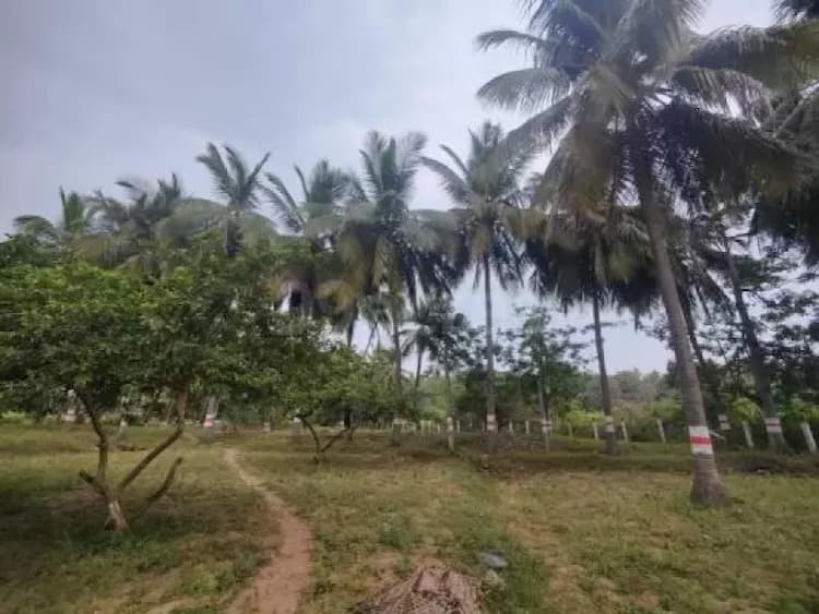 Plot sale