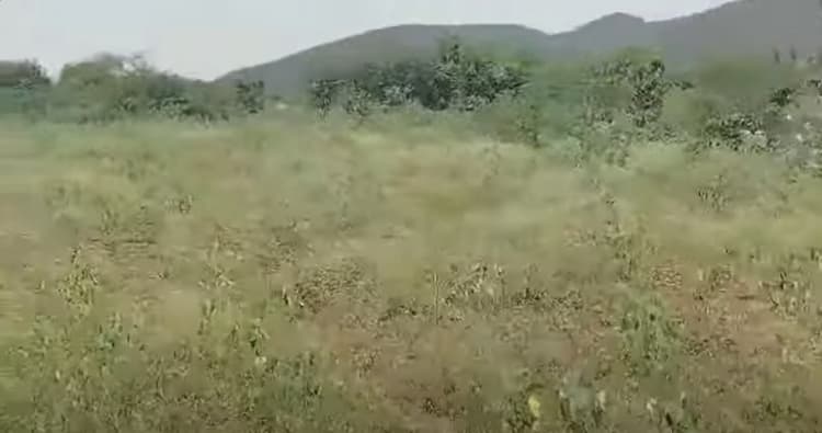 Low Budget Land for Sale