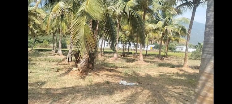  Red soil Agric land with House sale 