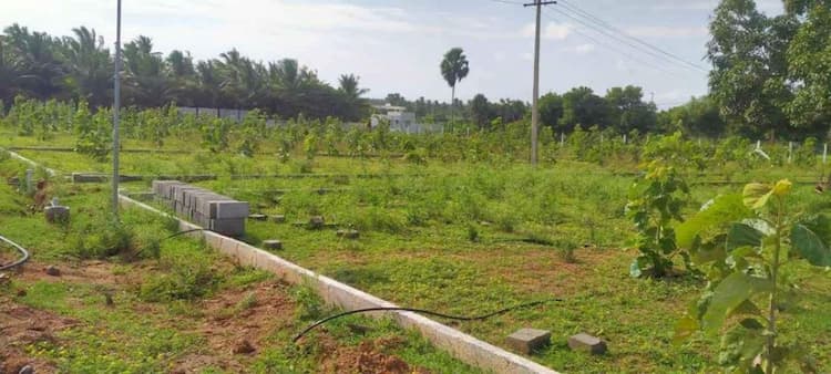 FARM LAND FOR SALE
