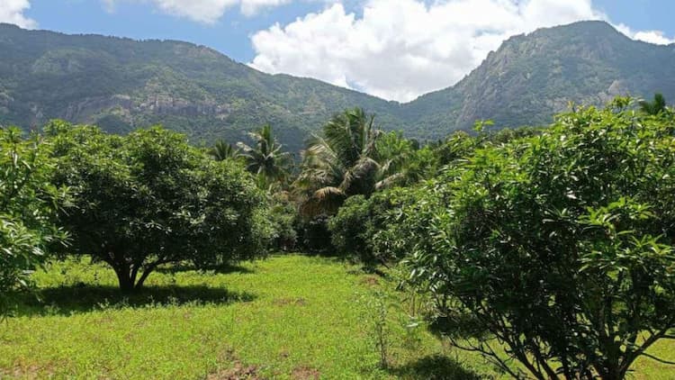 Farm Land For Sale