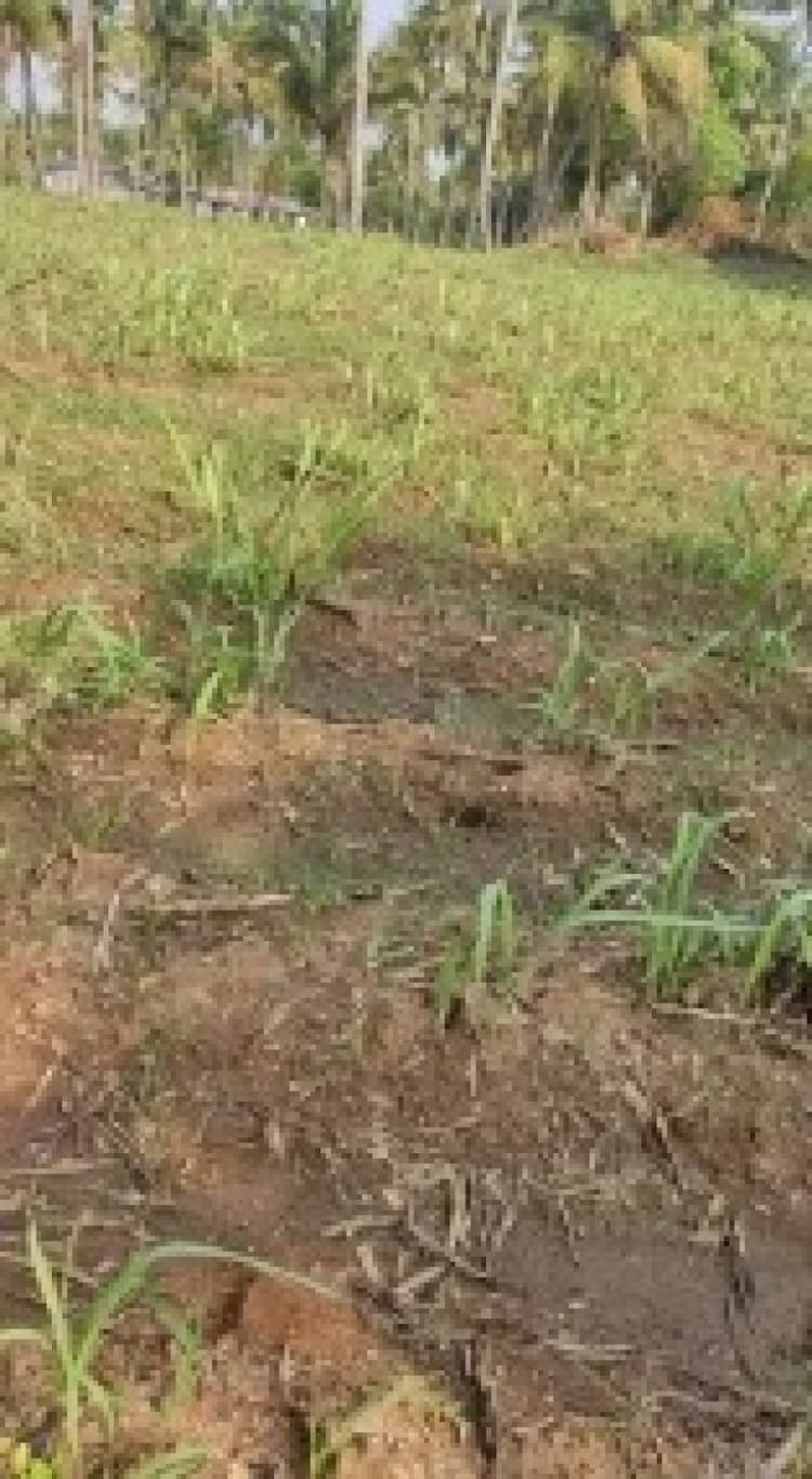 7000 sqft Plot