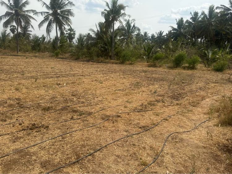 Land with Rc House for Sale