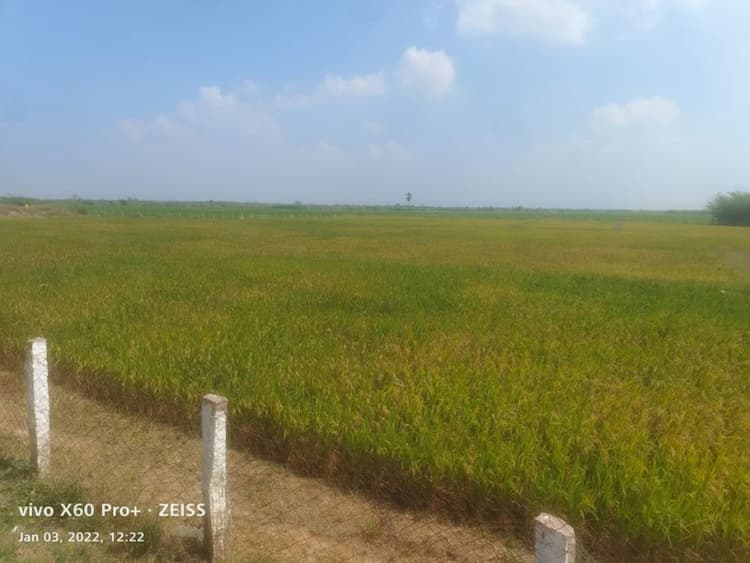 Farm land sale