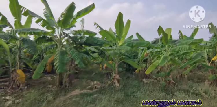 2.10 acres for sales