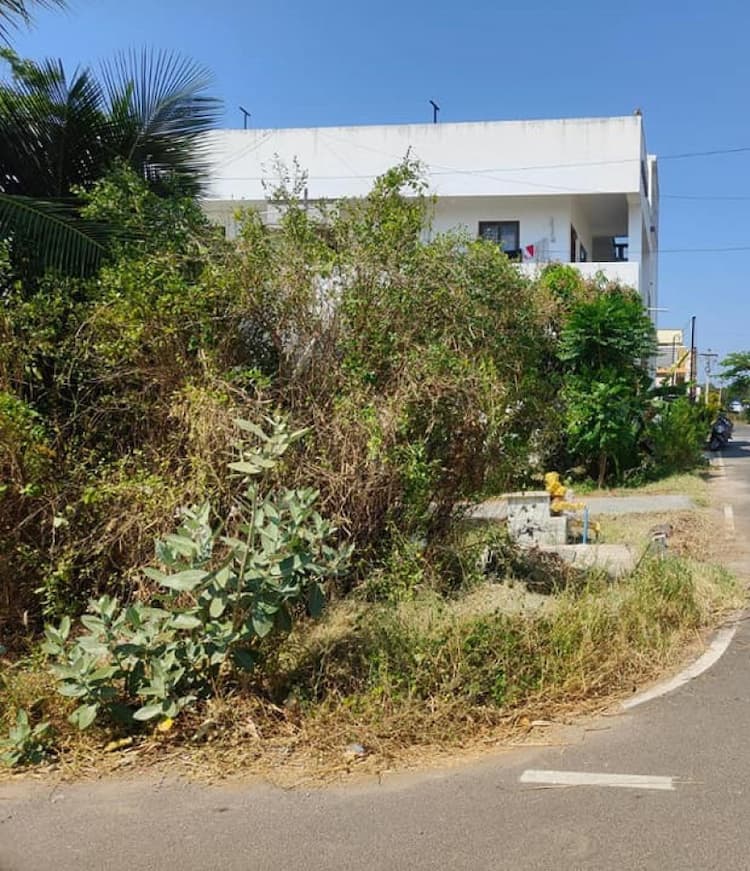 site for sale