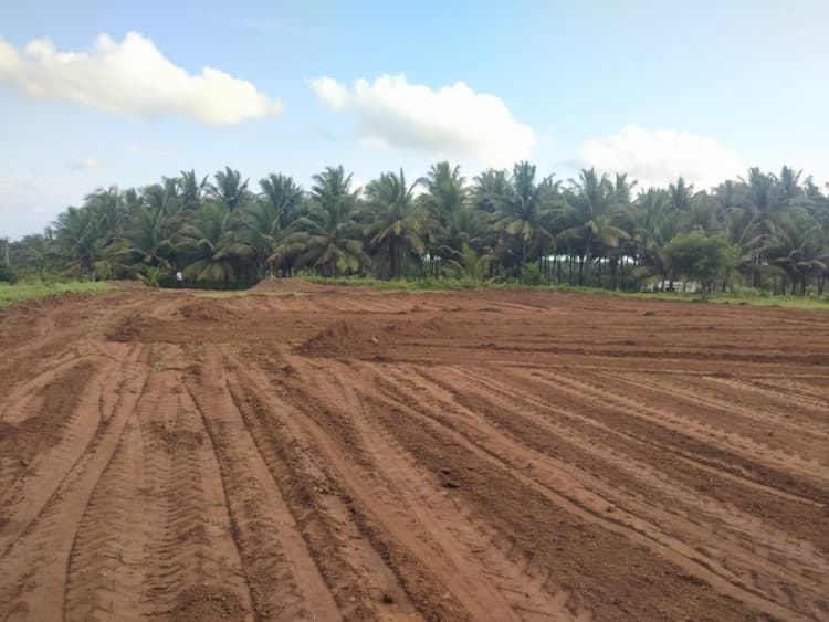 agri land for sale