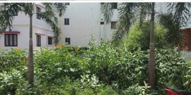 Land for sales