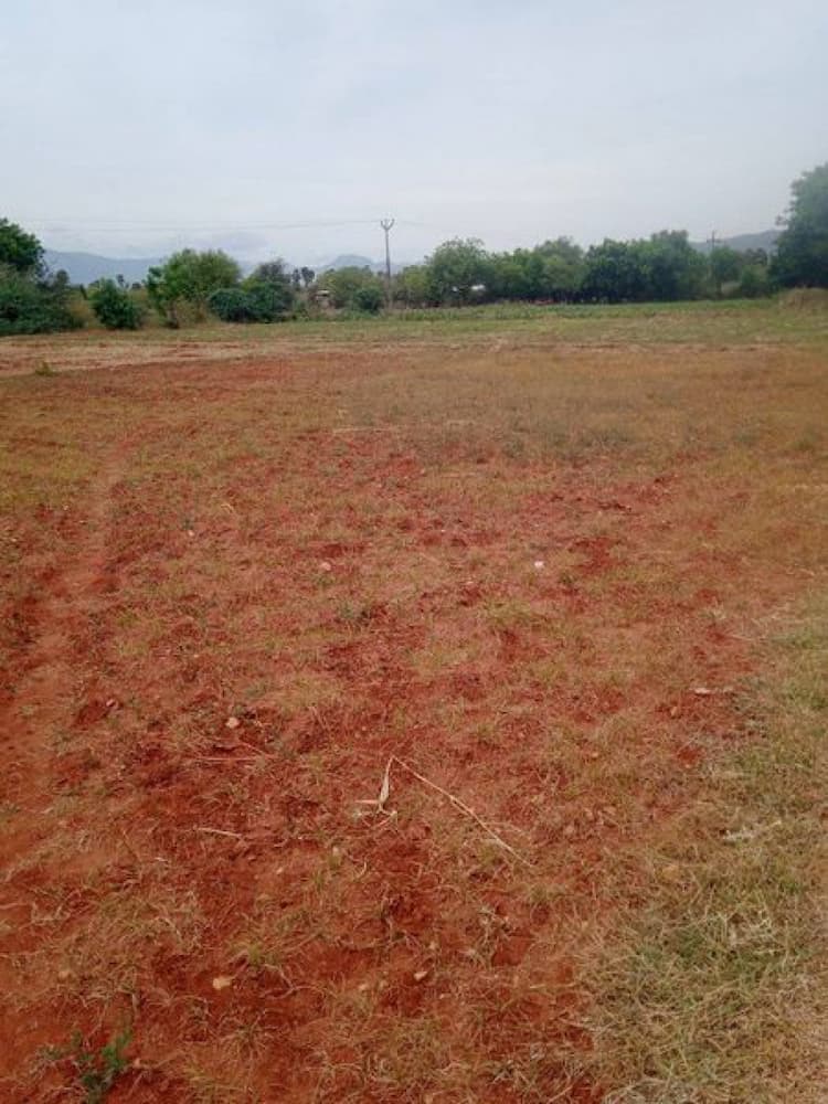 Single Property Image