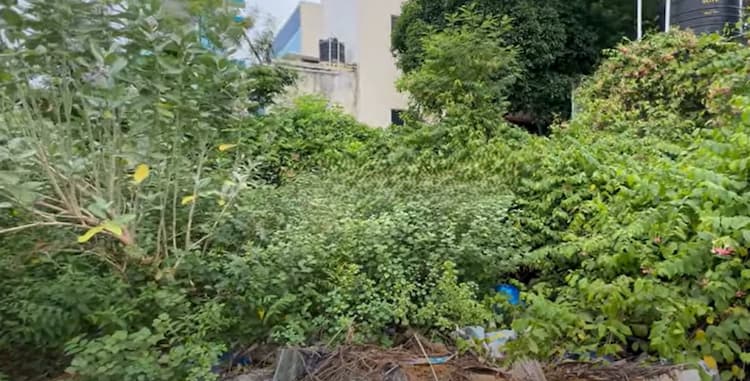 Land for sales