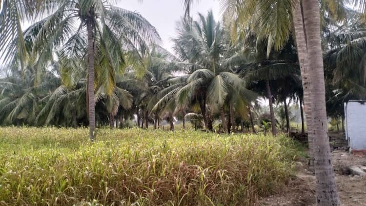 Single Property Image