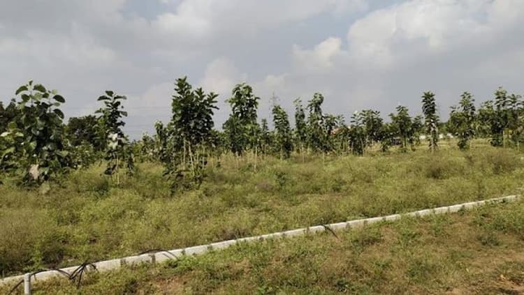 Single Property Image